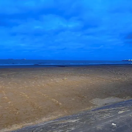 Seacottage Blankenberge-wenduine Διαμέρισμα De Haan